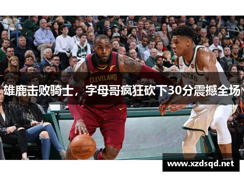 雄鹿击败骑士，字母哥疯狂砍下30分震撼全场