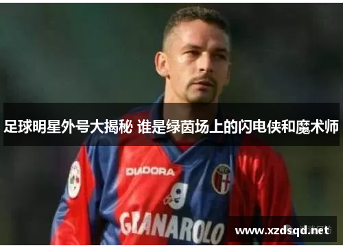 足球明星外号大揭秘 谁是绿茵场上的闪电侠和魔术师