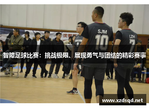 智障足球比赛：挑战极限、展现勇气与团结的精彩赛事